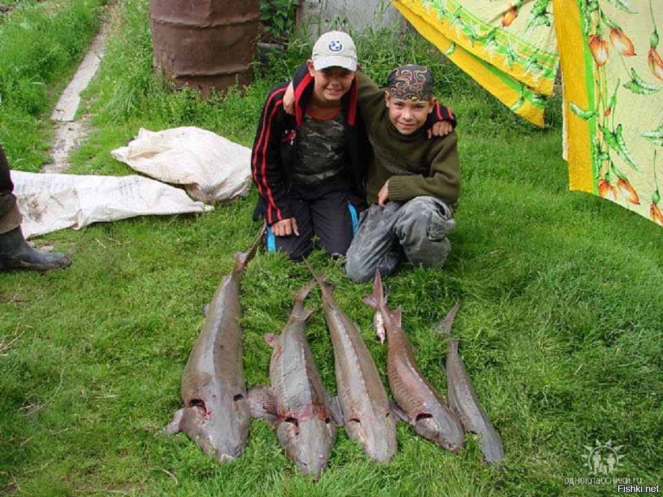 Где-то в голодной Сибири