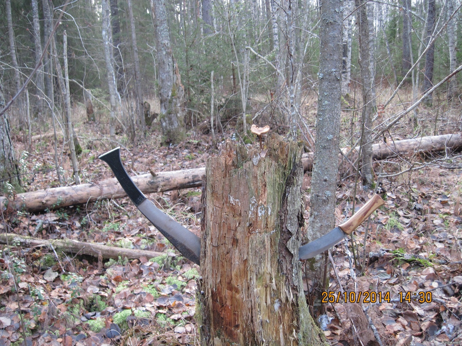 По грибы можно и так