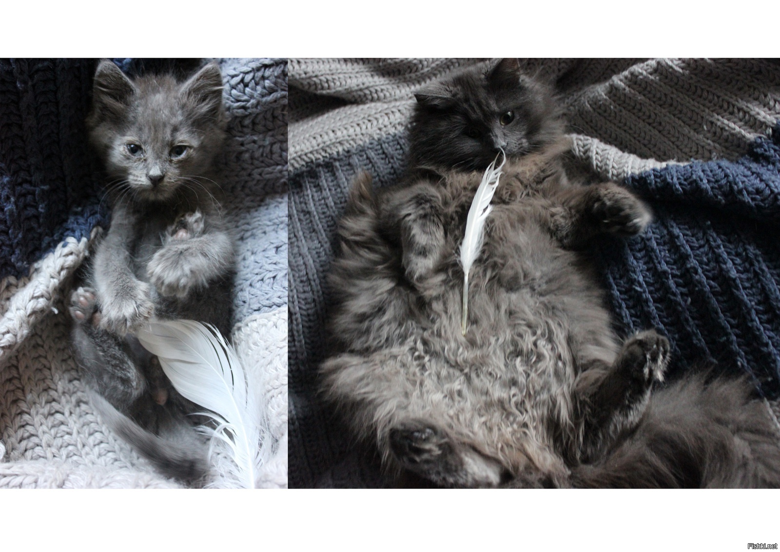 Когда твой дом больше не улица