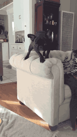 Знатная подсечка