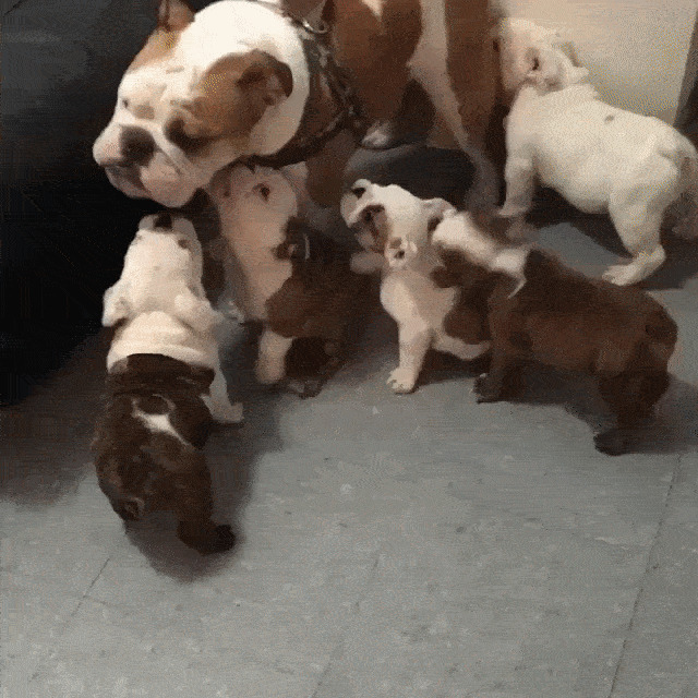 Покоя и тишины