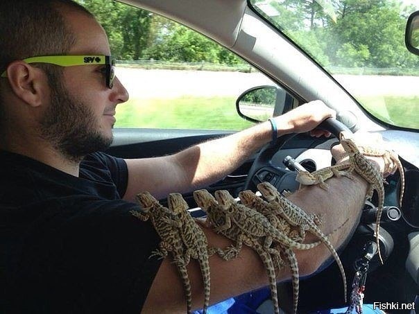 Взял попутчиков