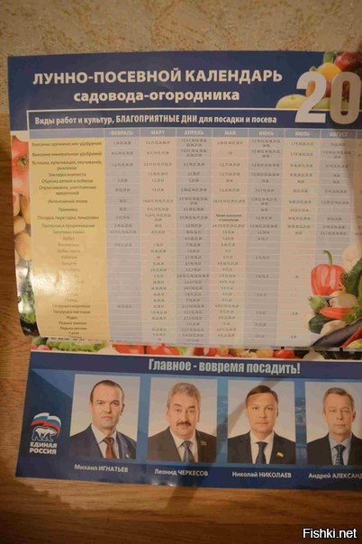 Глупая реклама или самокритика