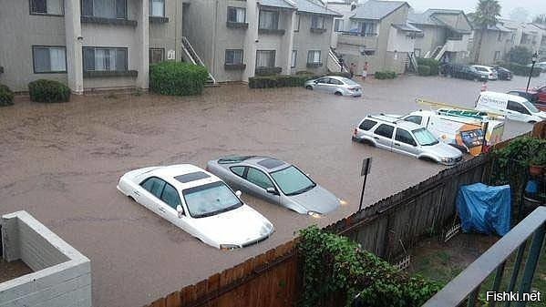 Я не хочу знать, кто и как делал ливневую канализацию