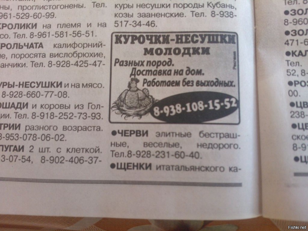 Читаем про червей,бесплатная газета славного города Ейска