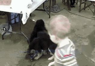 -Гля, Рыжий побежал