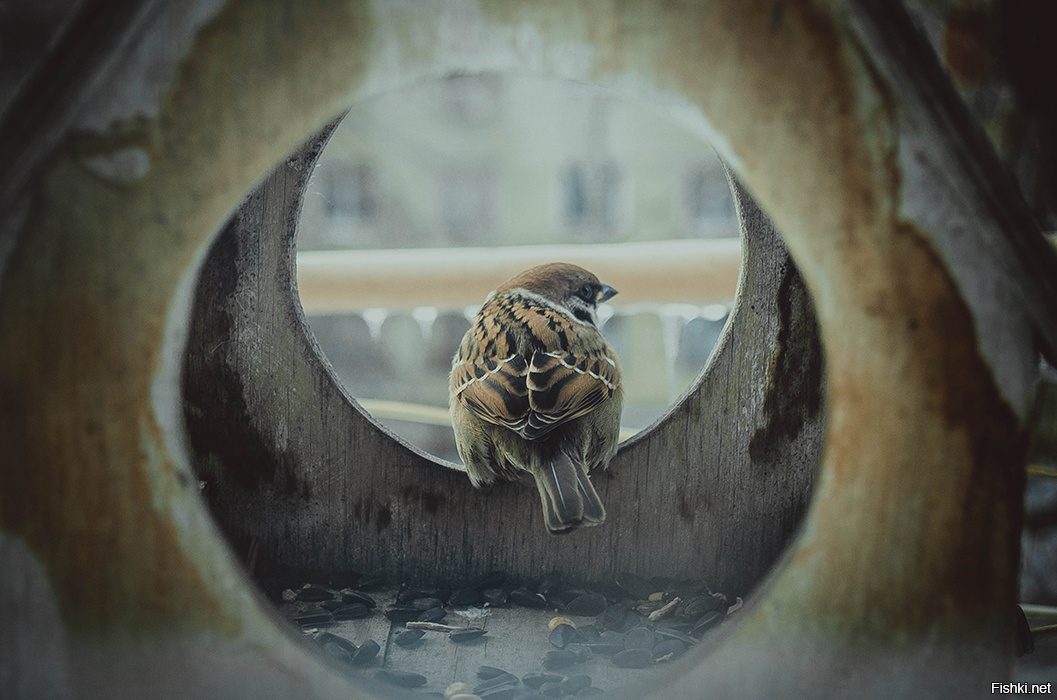 ...начинается новый день