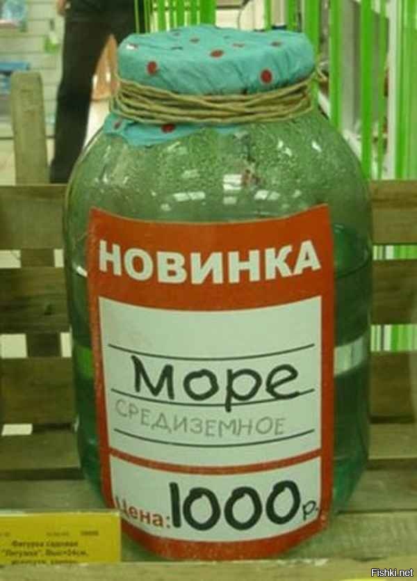 Из солянки