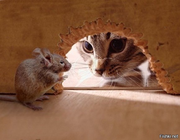 игра на нервах )))