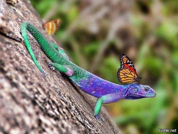 шикарный кадр 