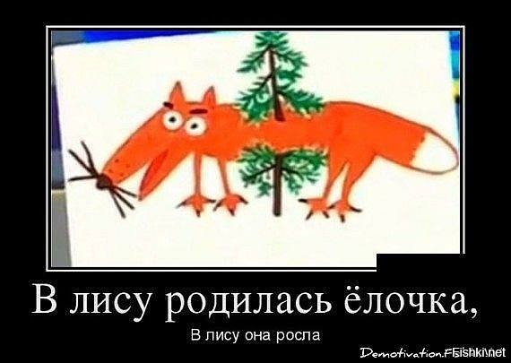 Из солянки