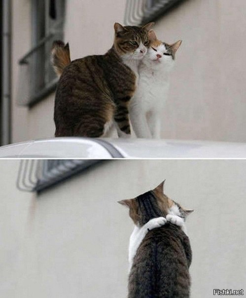 Март в разгаре 