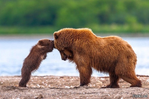 Придумайте подпись, плиз 