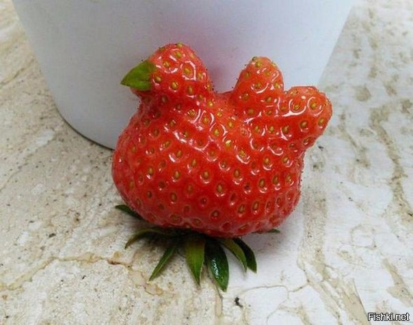 Это точно клубника