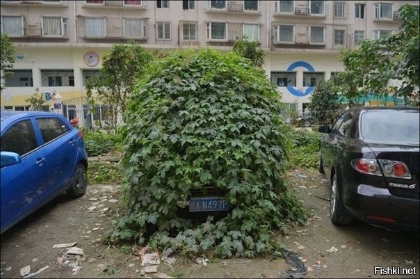 Этот автомобиль простоял несколько лет в провинции Сычуань, Китай