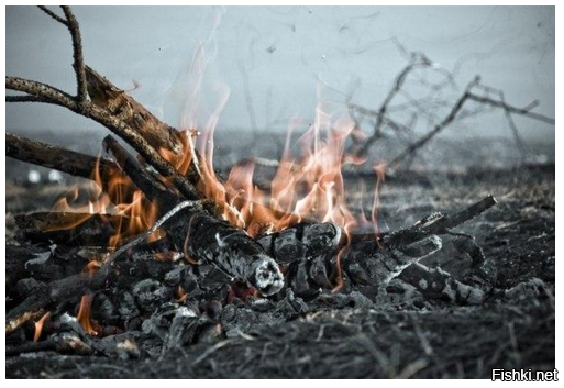 Горячие сучки 18+ )))