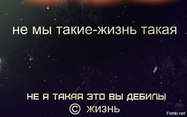 Из солянки