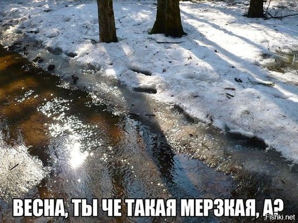 Из солянки