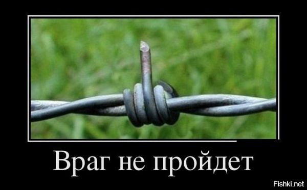Из солянки