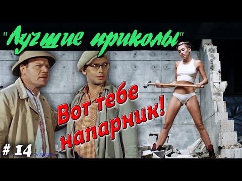 Лучшие приколы. Вот тебе напарник