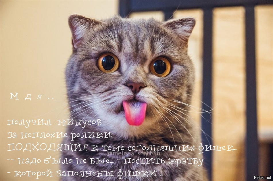 Из солянки