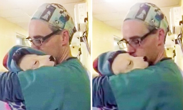  Ветеринар успокаивал щенка после операции как маленького ребенка