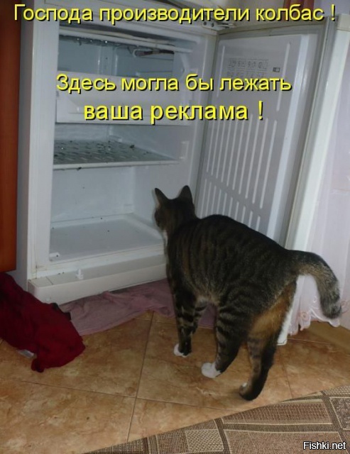 Из солянки