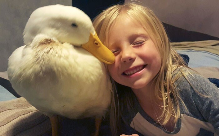 5-летняя девочка и её утка, которая считает девочку своей мамой