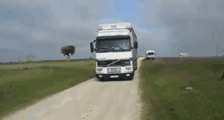 Побег курятника