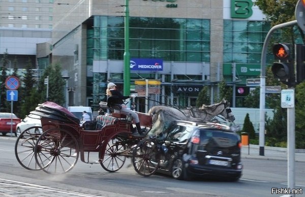 Купила права