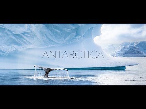 Глазами дрона: Антарктида