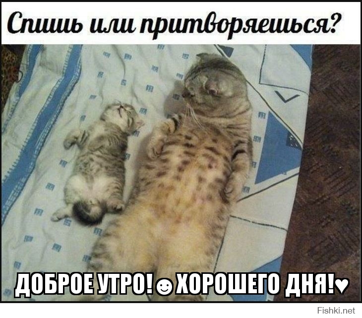 ДОБРОЕ УТРО!☻ХОРОШЕГО ДНЯ!♥