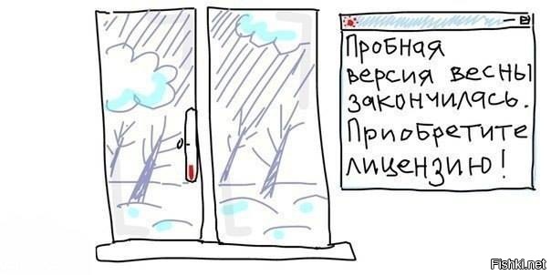 Из солянки