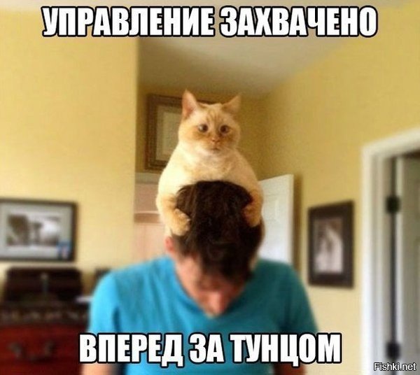 Из солянки