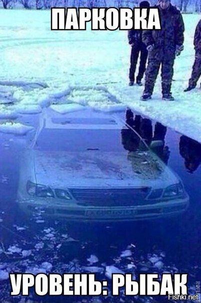 Из солянки