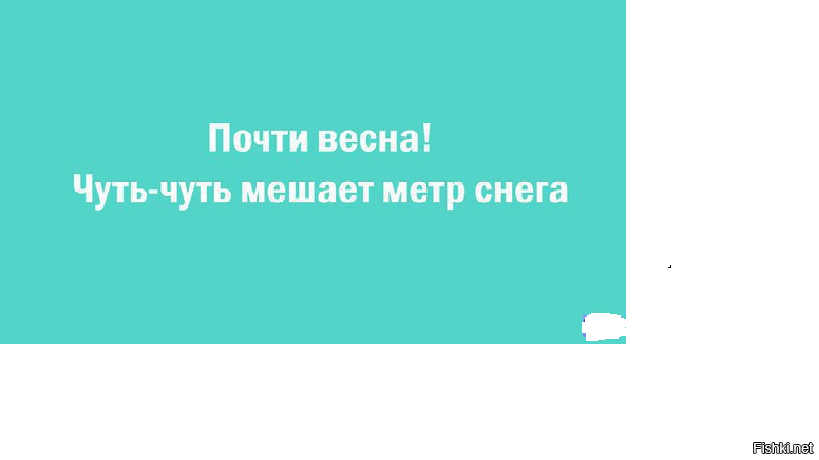 Из солянки