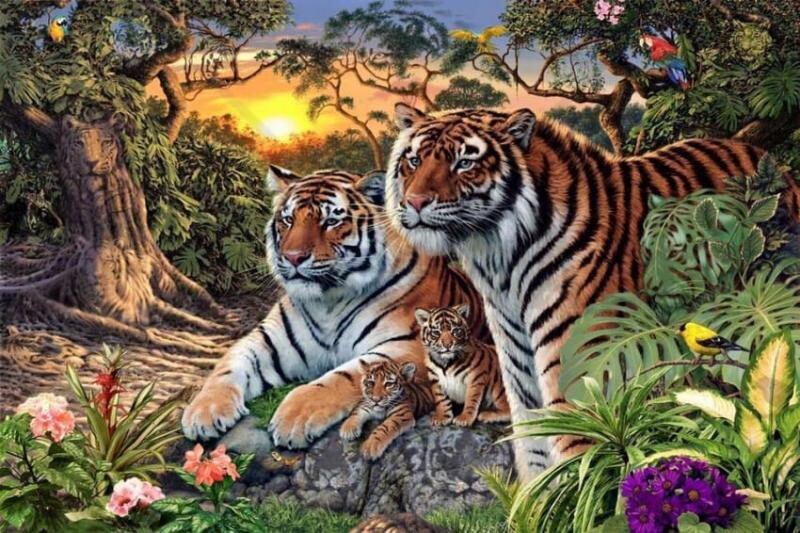 Сколько тигров на этом рисунке?