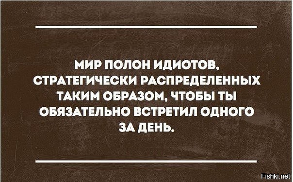 Из солянки