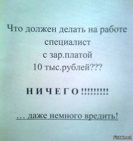 Из солянки