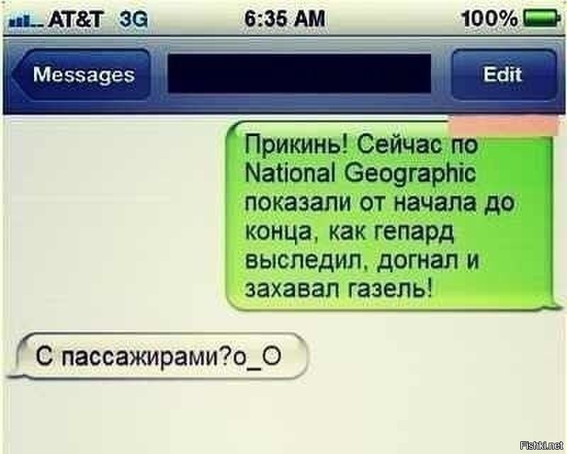 Из солянки