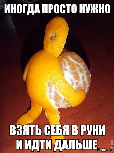 Из солянки