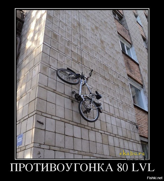 Из солянки