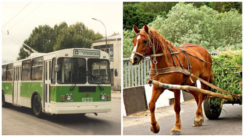 Лошади против троллейбусов