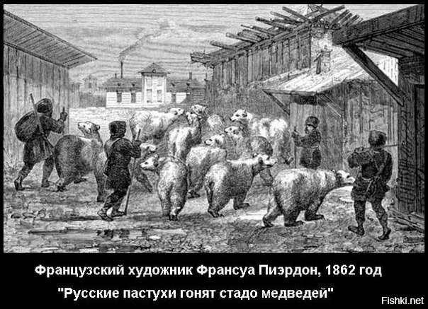 Из солянки