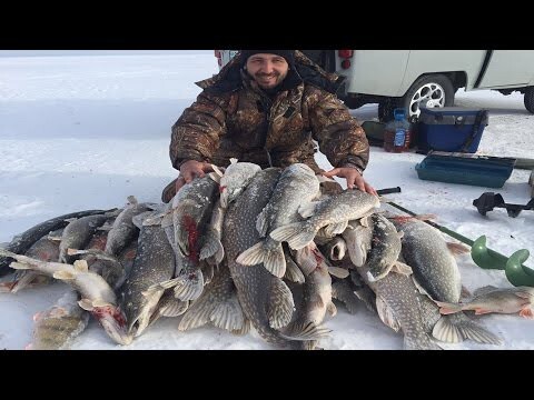 "Бешеная Рыба"Рыбалка в Казахстане