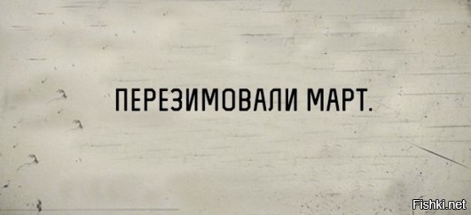 Из солянки