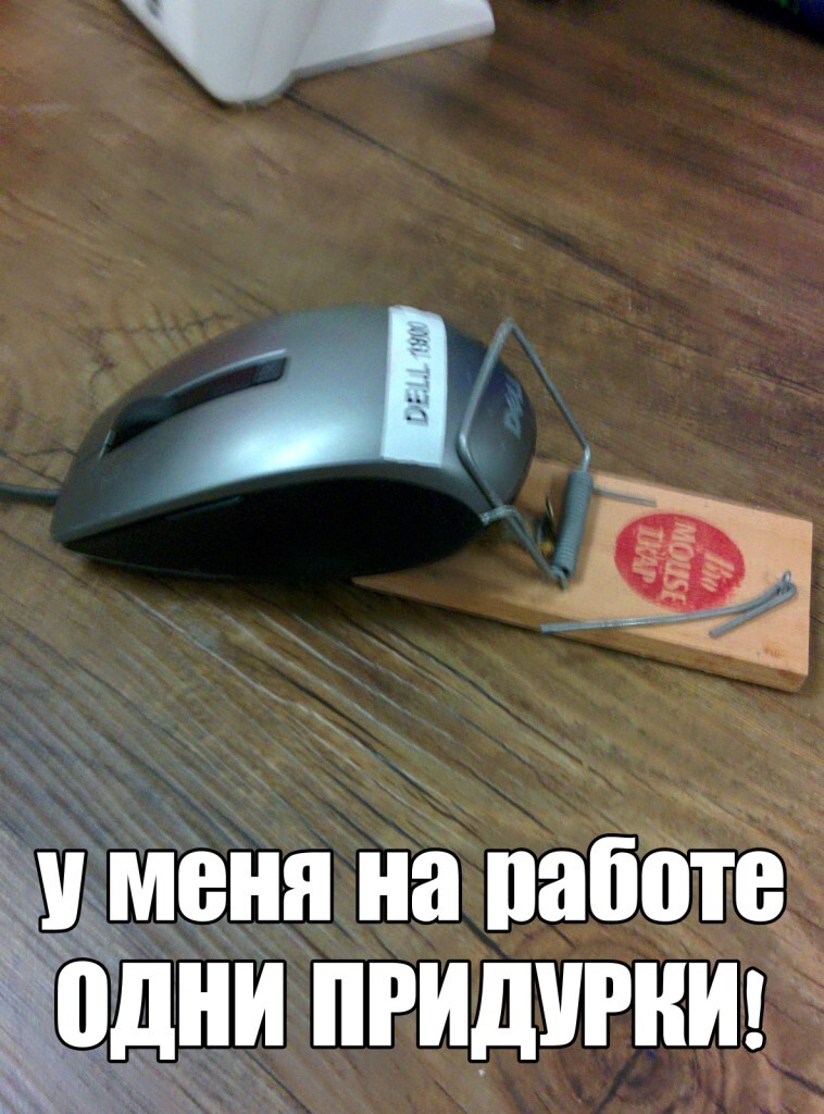 У меня на работе одни придурки