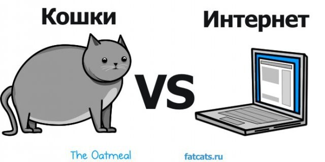 Кот vs интернет