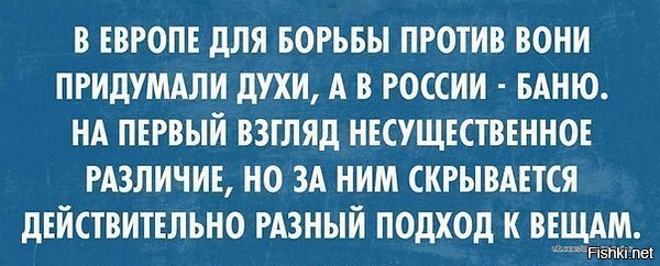 Из солянки