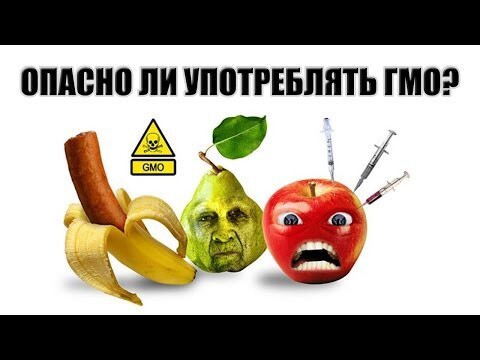 Опасно ли употреблять ГМО?